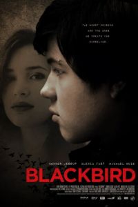 Чёрный дрозд (2012)