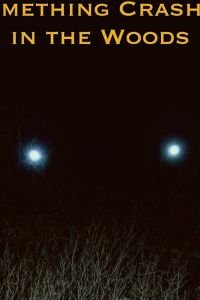 Крушение в лесу (2018)